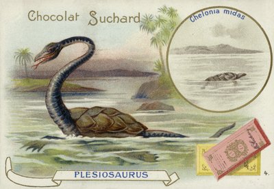 Plesiosaur and green sea turtle by European School